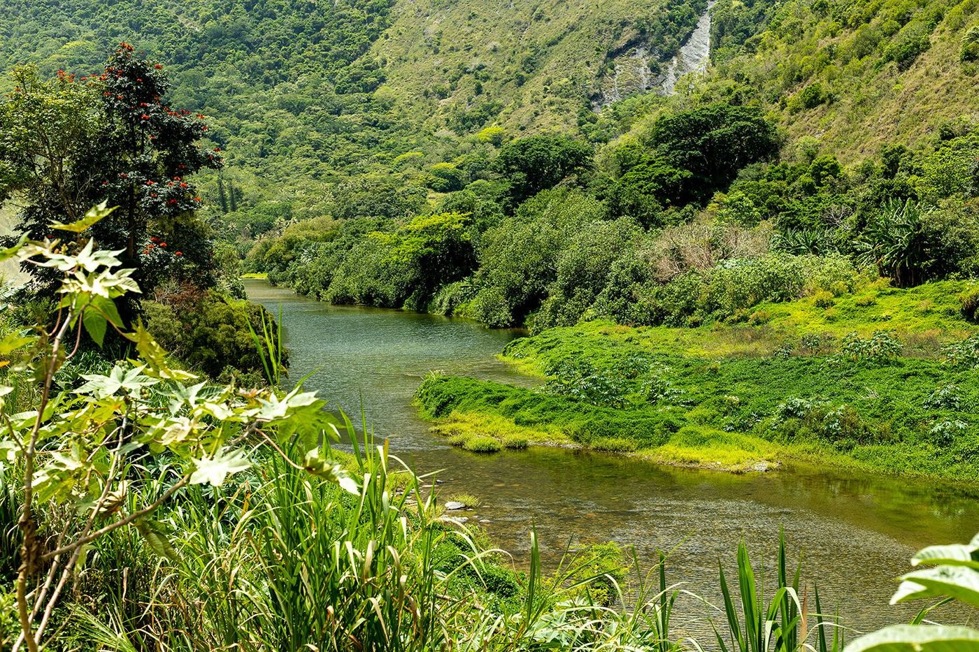 Vallée de Hienghène