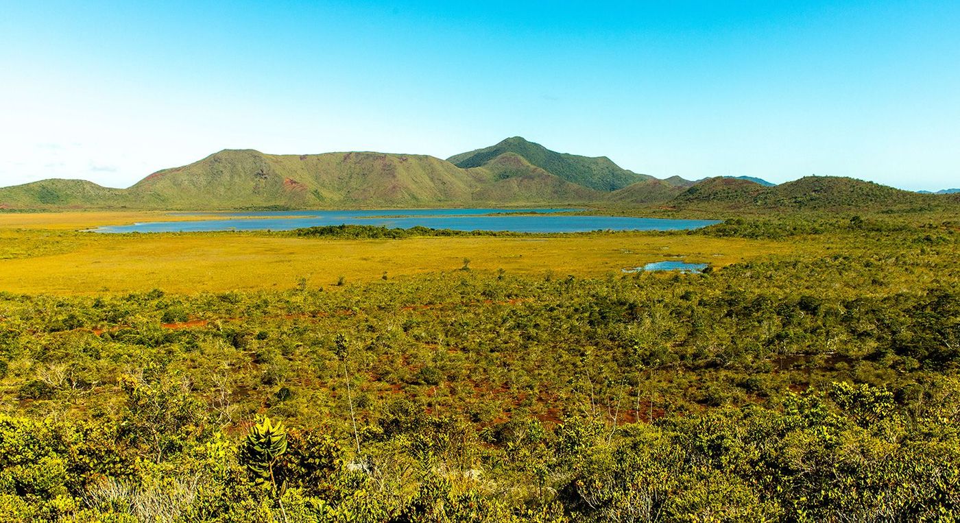 Maquis minier, plaine des lacs