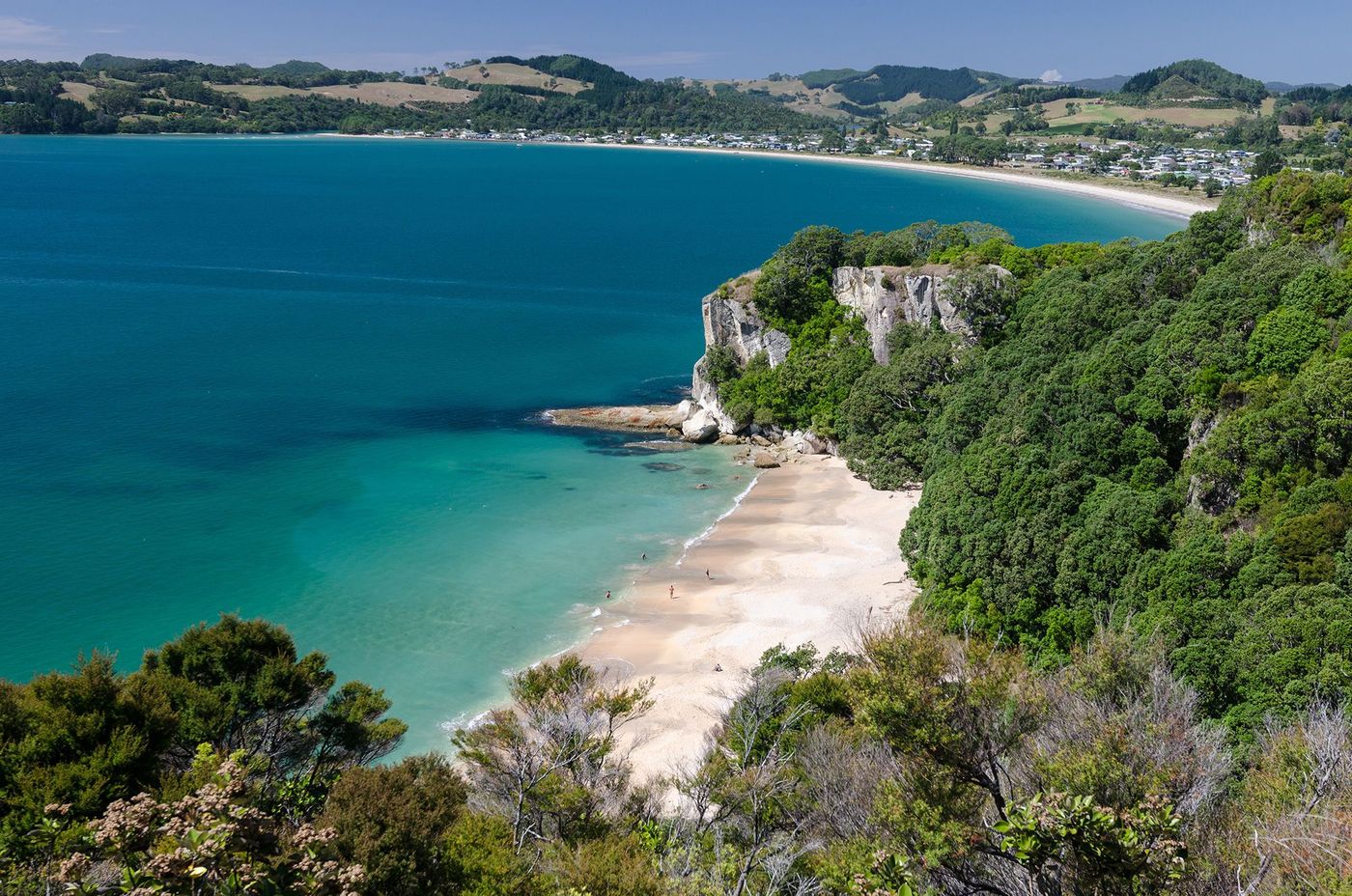 Nouvelle-Zélande Cook's Beach en fond