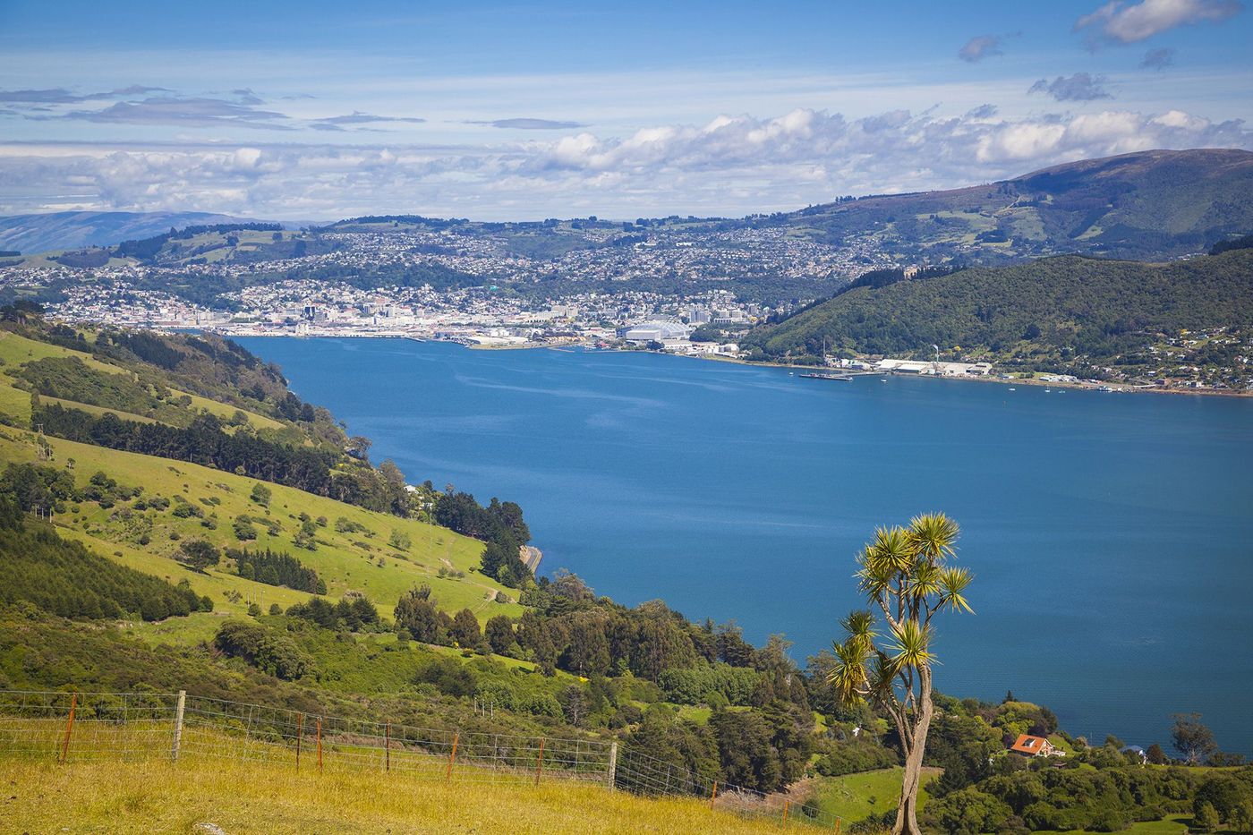 Nouvelle-Zélande Dunedin et ses environs