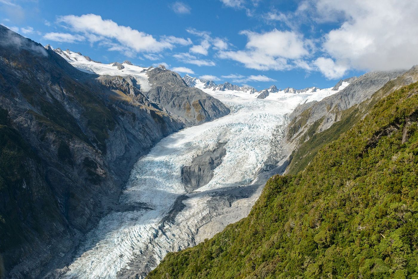 Nouvelle-Zélande Glacier Fox