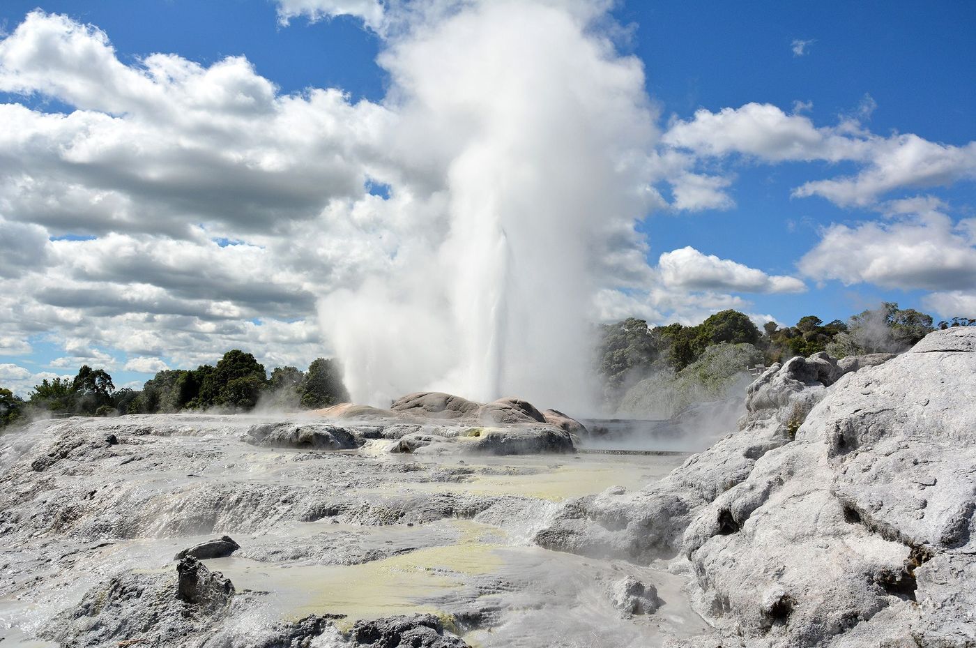 Nouvelle-Zélande Te Puia Geyser