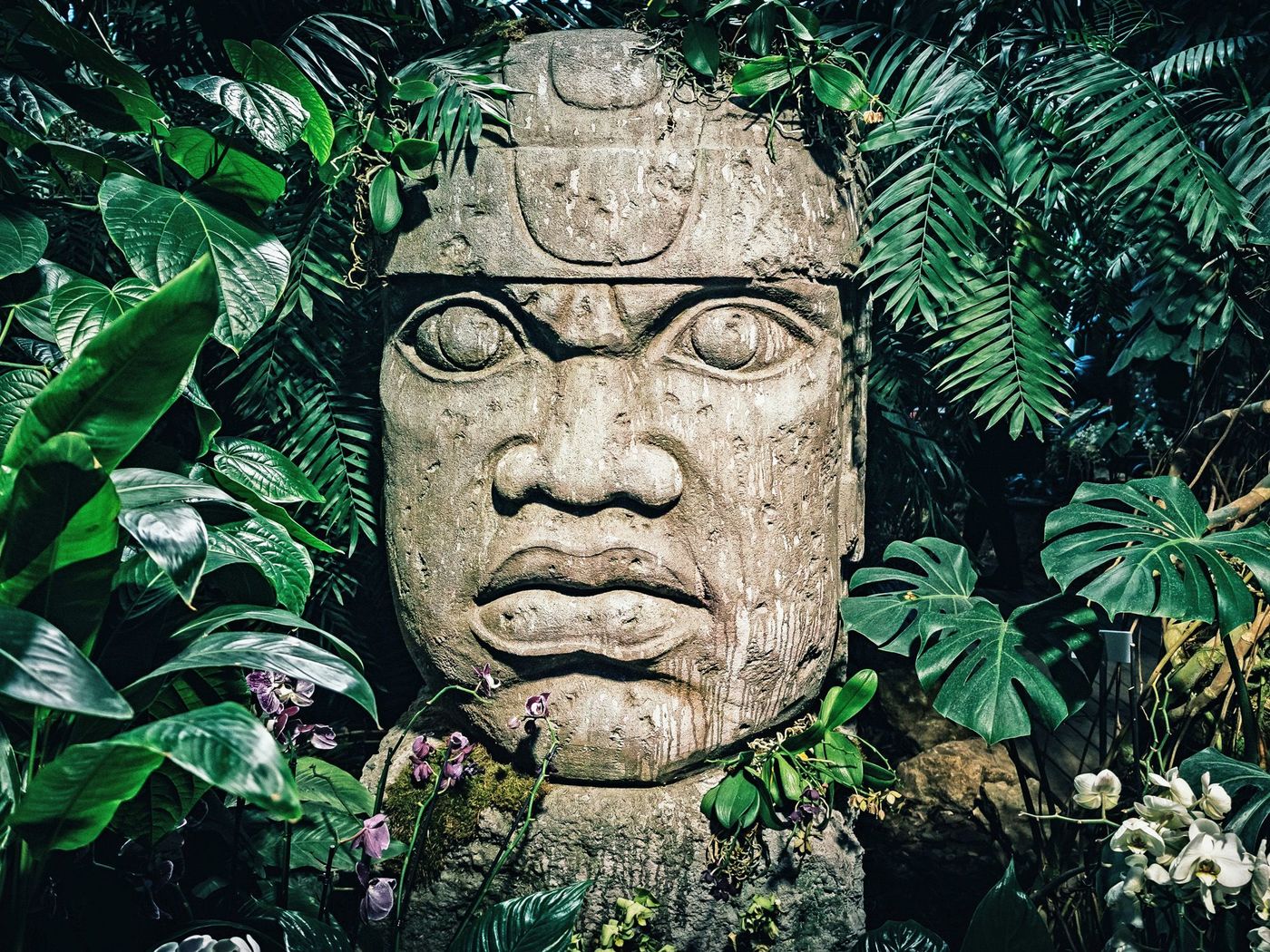 Olmèques La Venta Statue