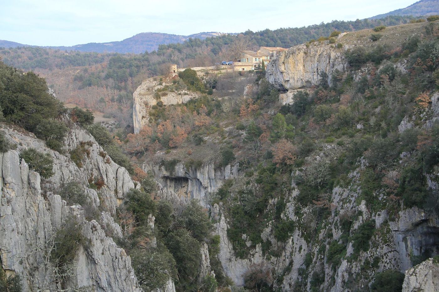 France Oppedette