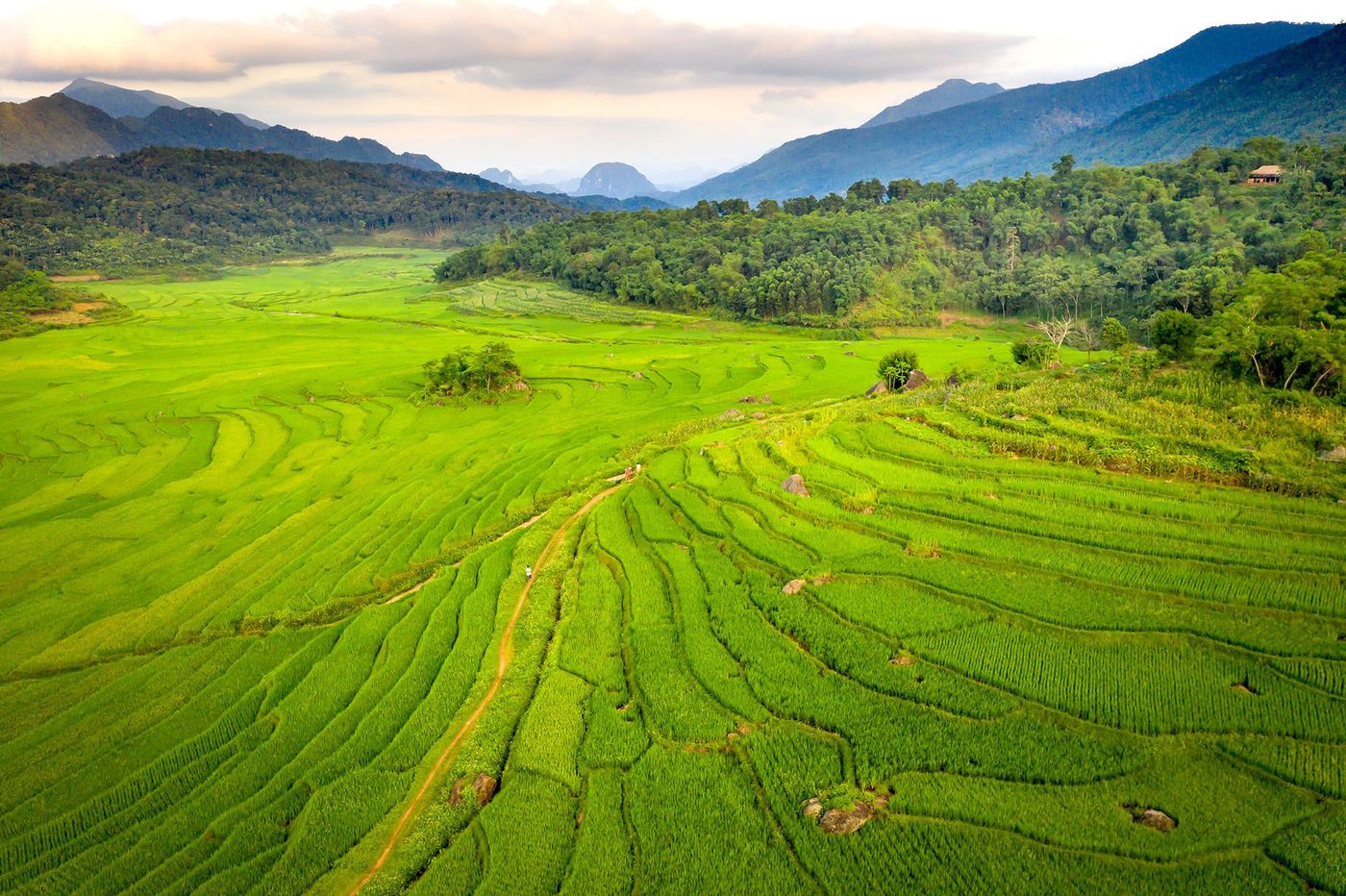 Pù Luông - rizières
