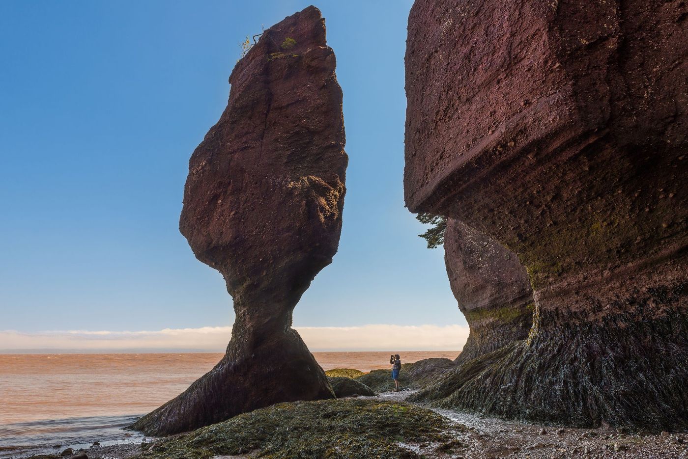 Nouveau-Brunswick Baie de Fundy Hopewell Rocks
