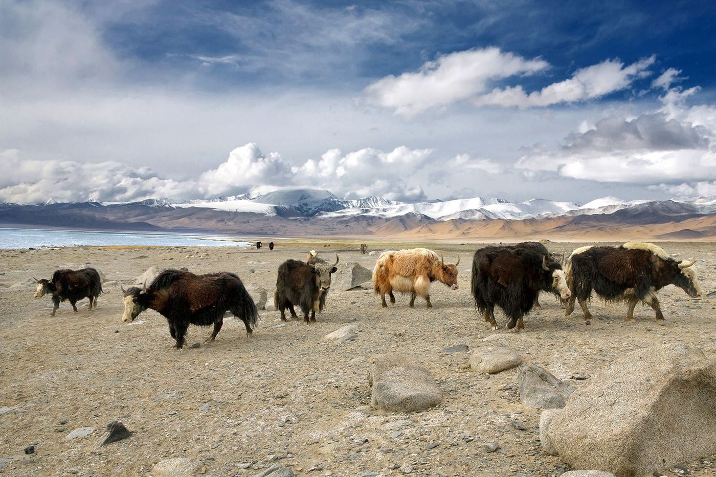 Tadjikistan