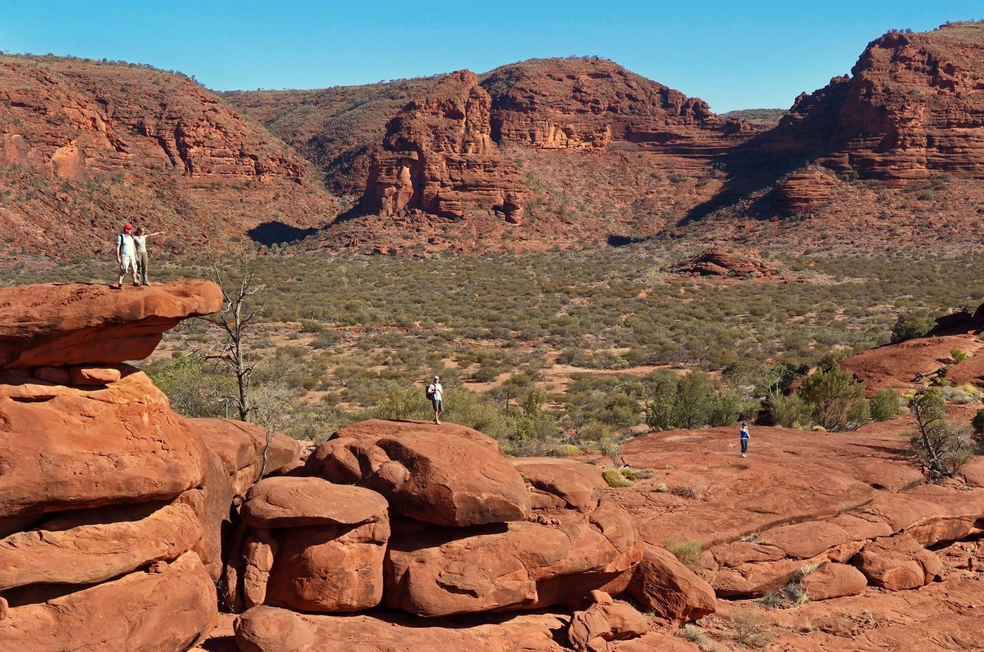 Palm valley, Finke Gorge National Park, Territoire du Nord