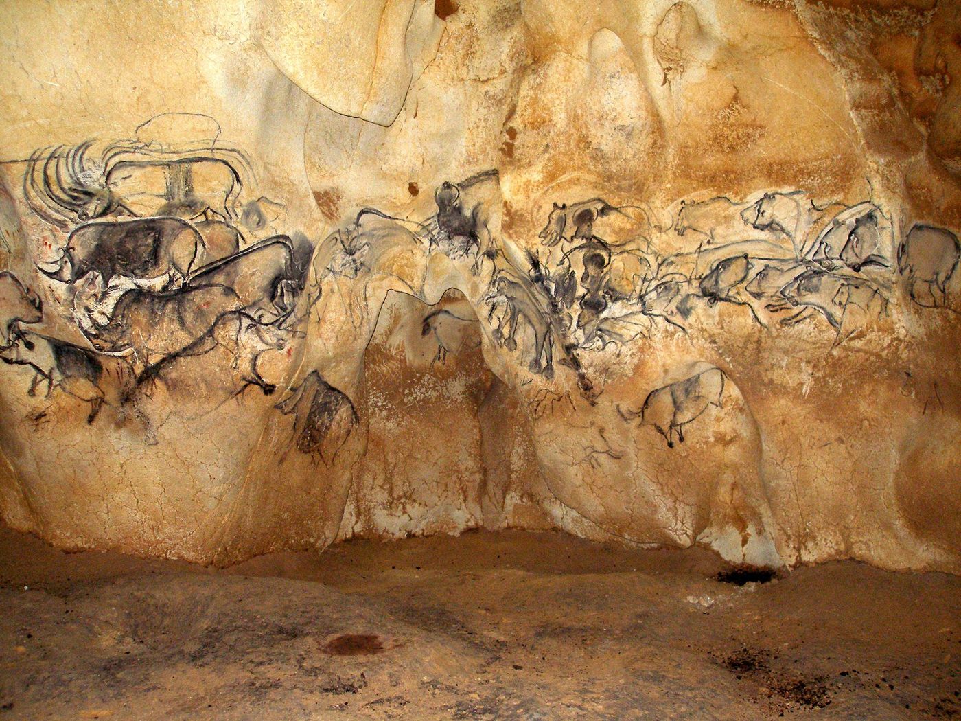 Panneaux des Rhinocéros et des Lions, Salle du Fond - Grotte Chauvet-Pont- d’Arc