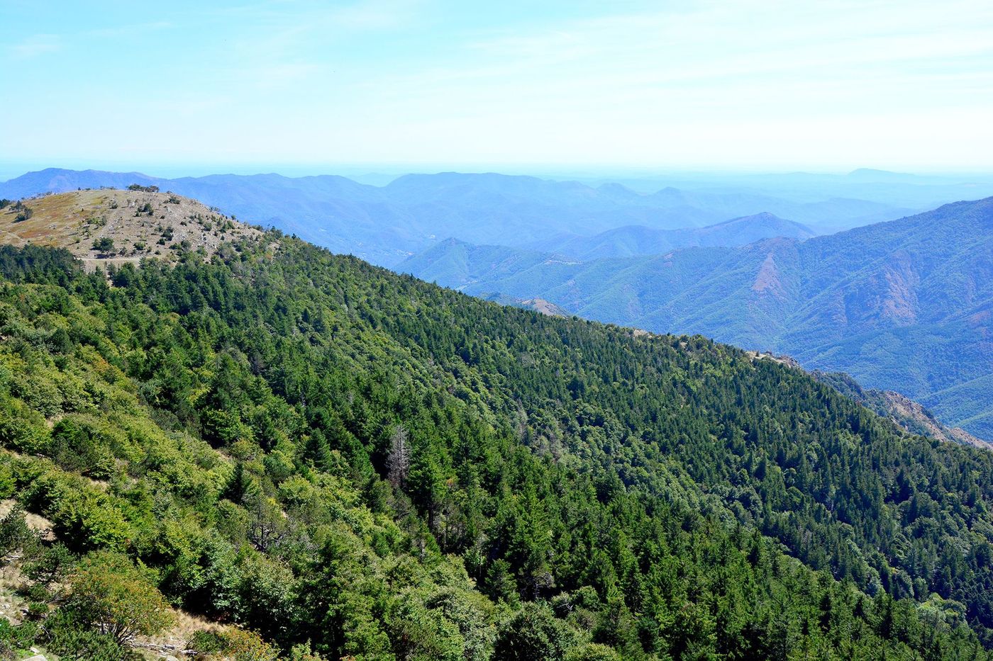 Panorama depuis le mont Aigoual