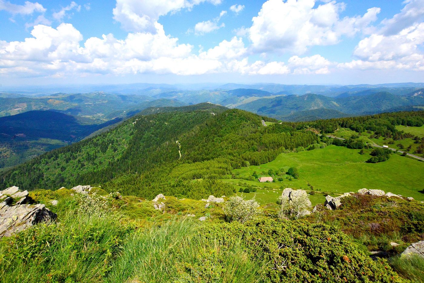 Panorama depuis le mont Gerbier-de-Jonc
