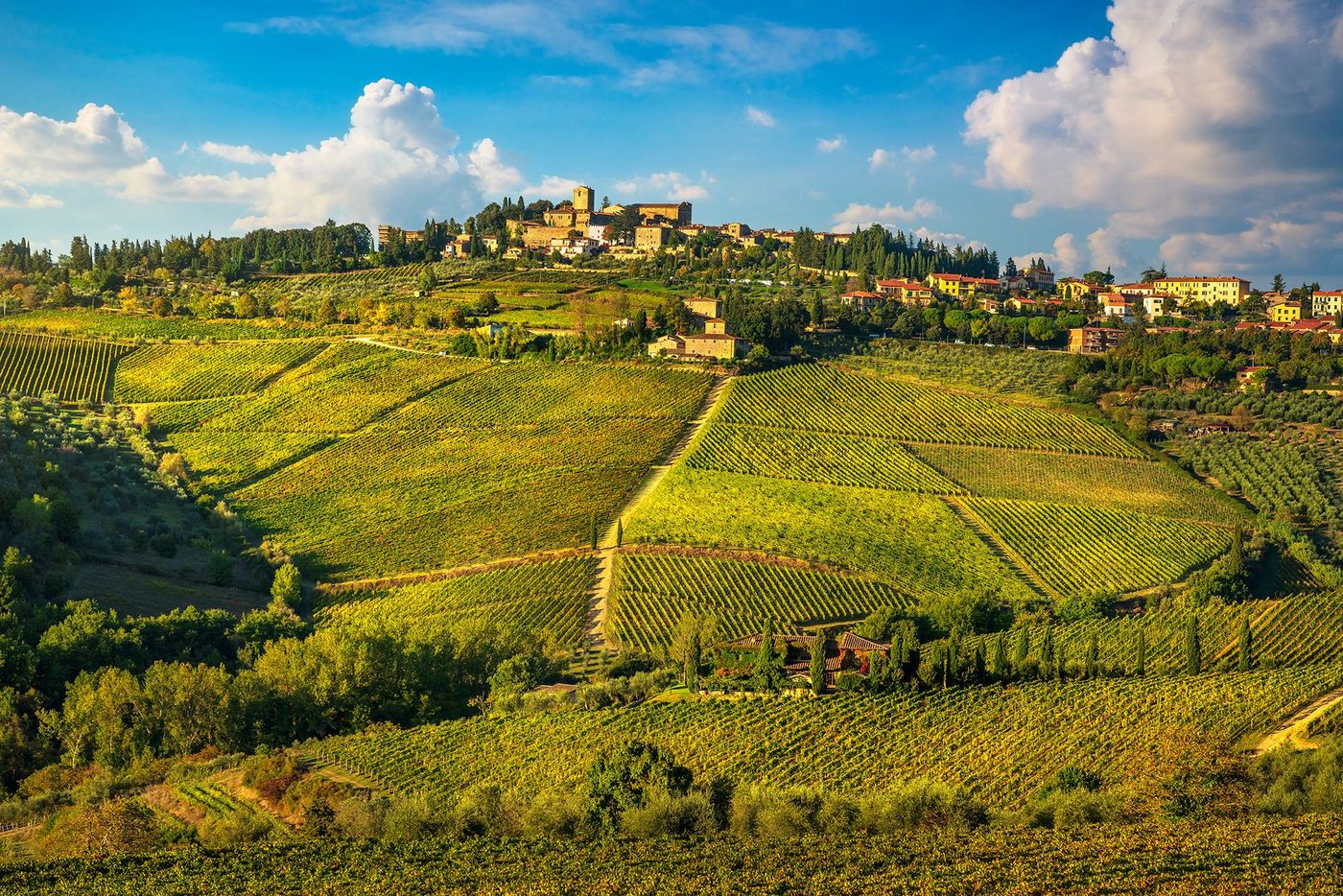 Panzano in Chianti vineyard and panorama at sunset. Tuscany, Italy