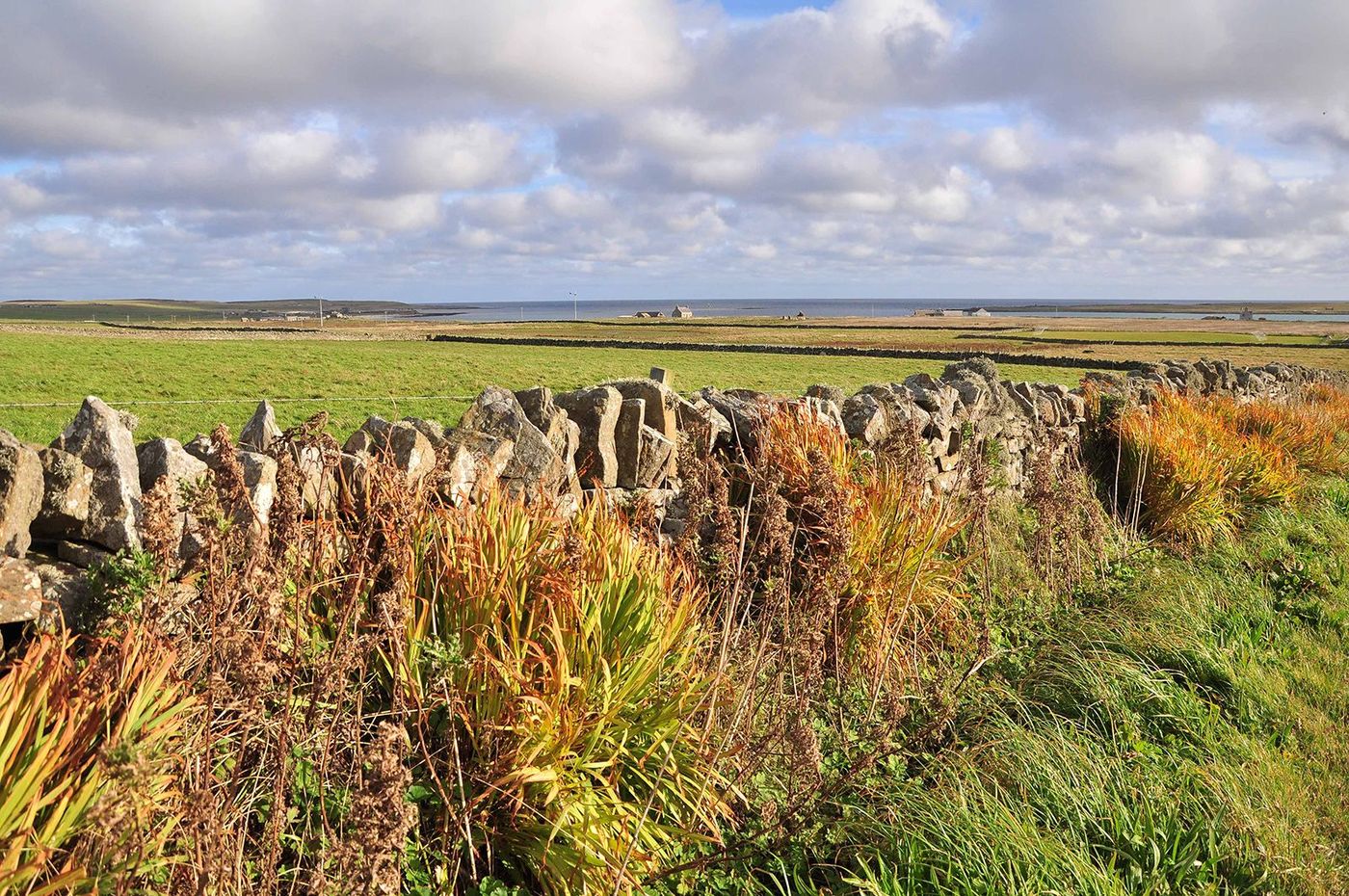 Ecosse Orcades Papa Westray