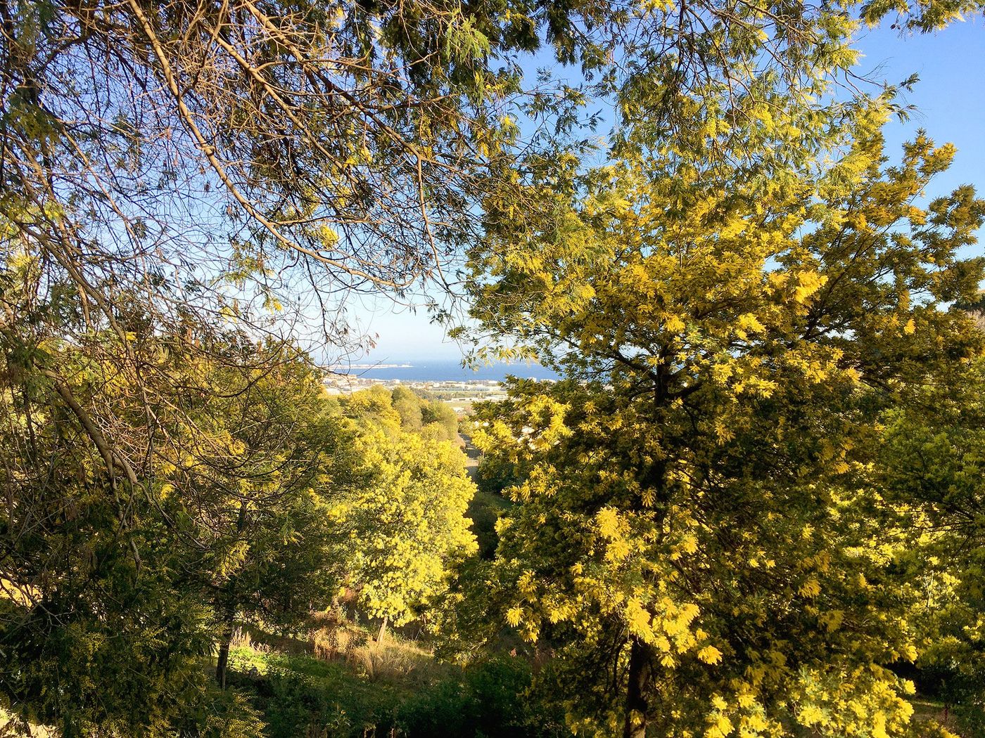 Parc de la Vernède