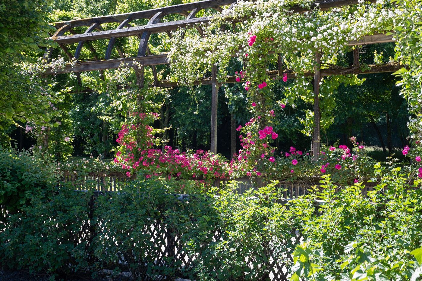 Parc du château de Chamerolles