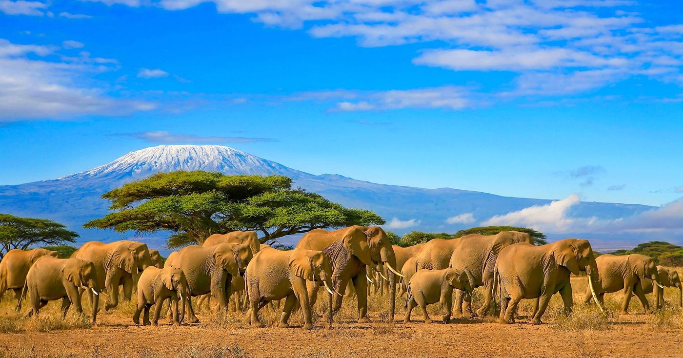 Parc national d’Amboseli