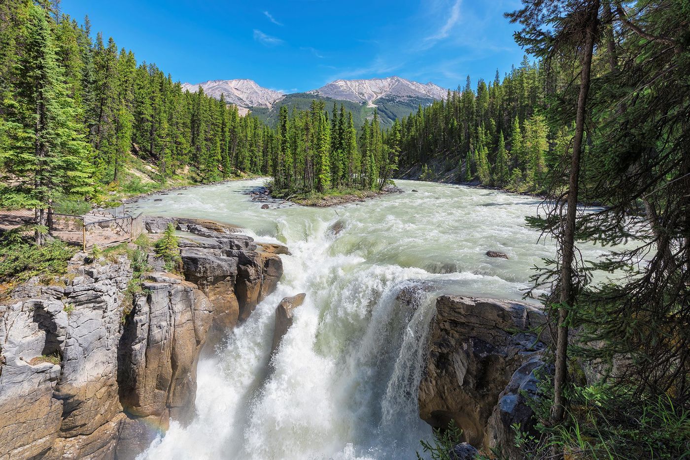 Parc national de Jasper - Chutes Sunwapta