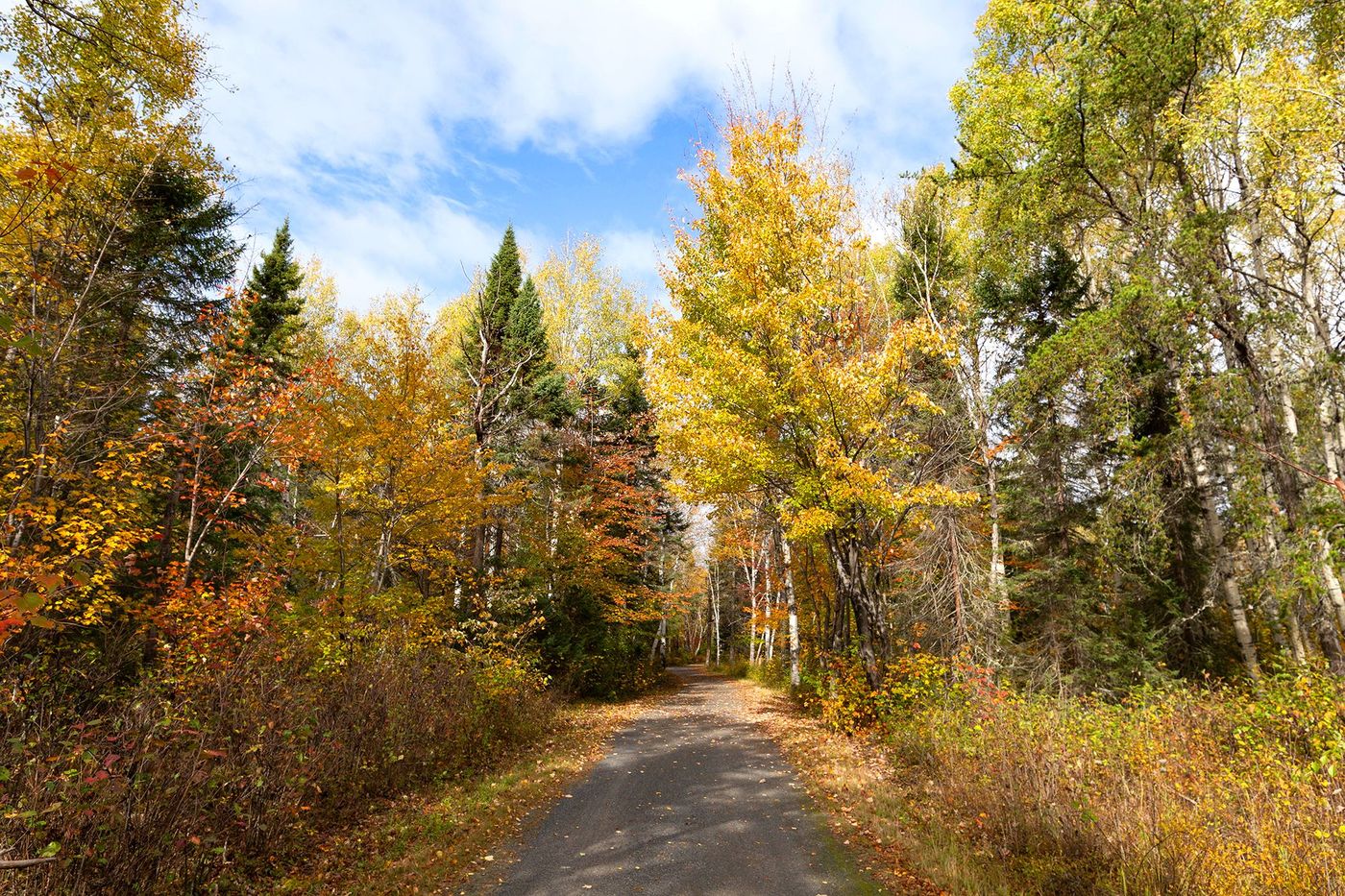 Parc national de la Pointe-Taillon