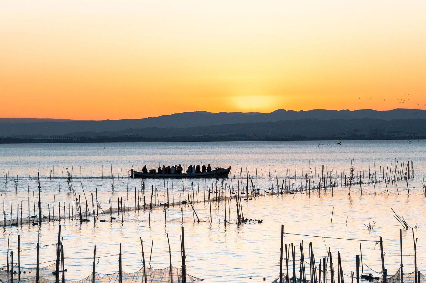 Parc naturel de l’Albufera