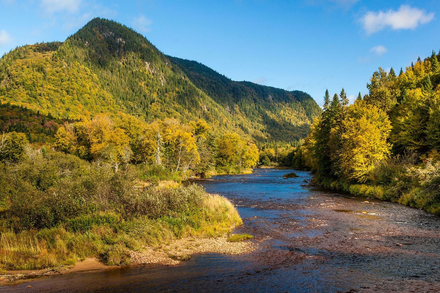 Rivière dans le parc national Jacques-Cartier - Québec (Canada)