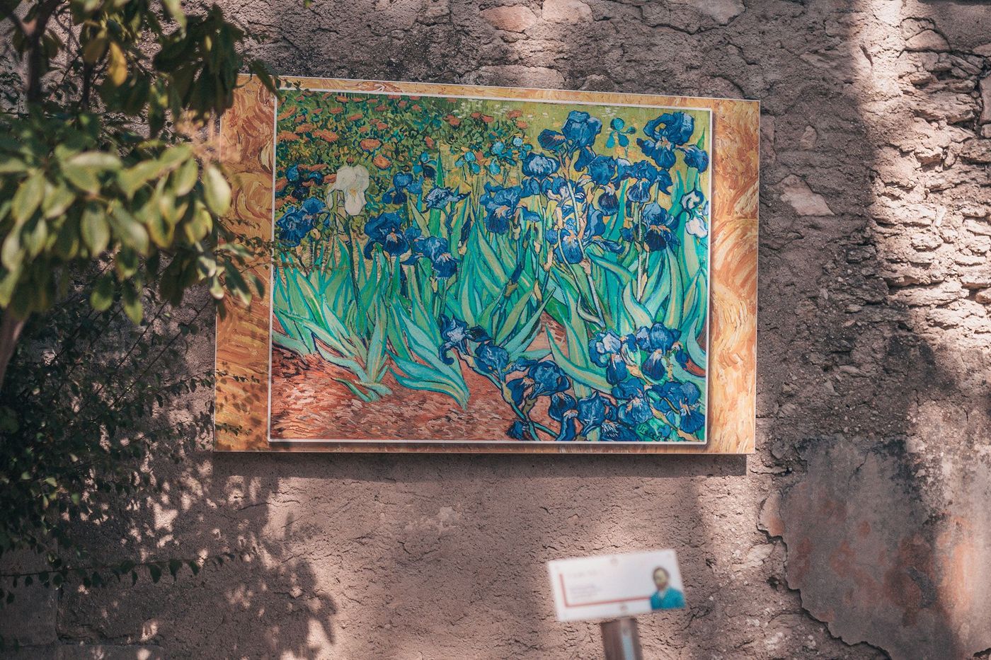Parcours de Van Gogh - Les iris