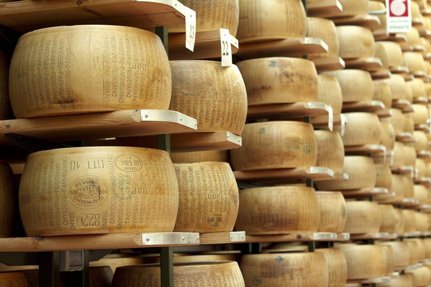 Parmigiano