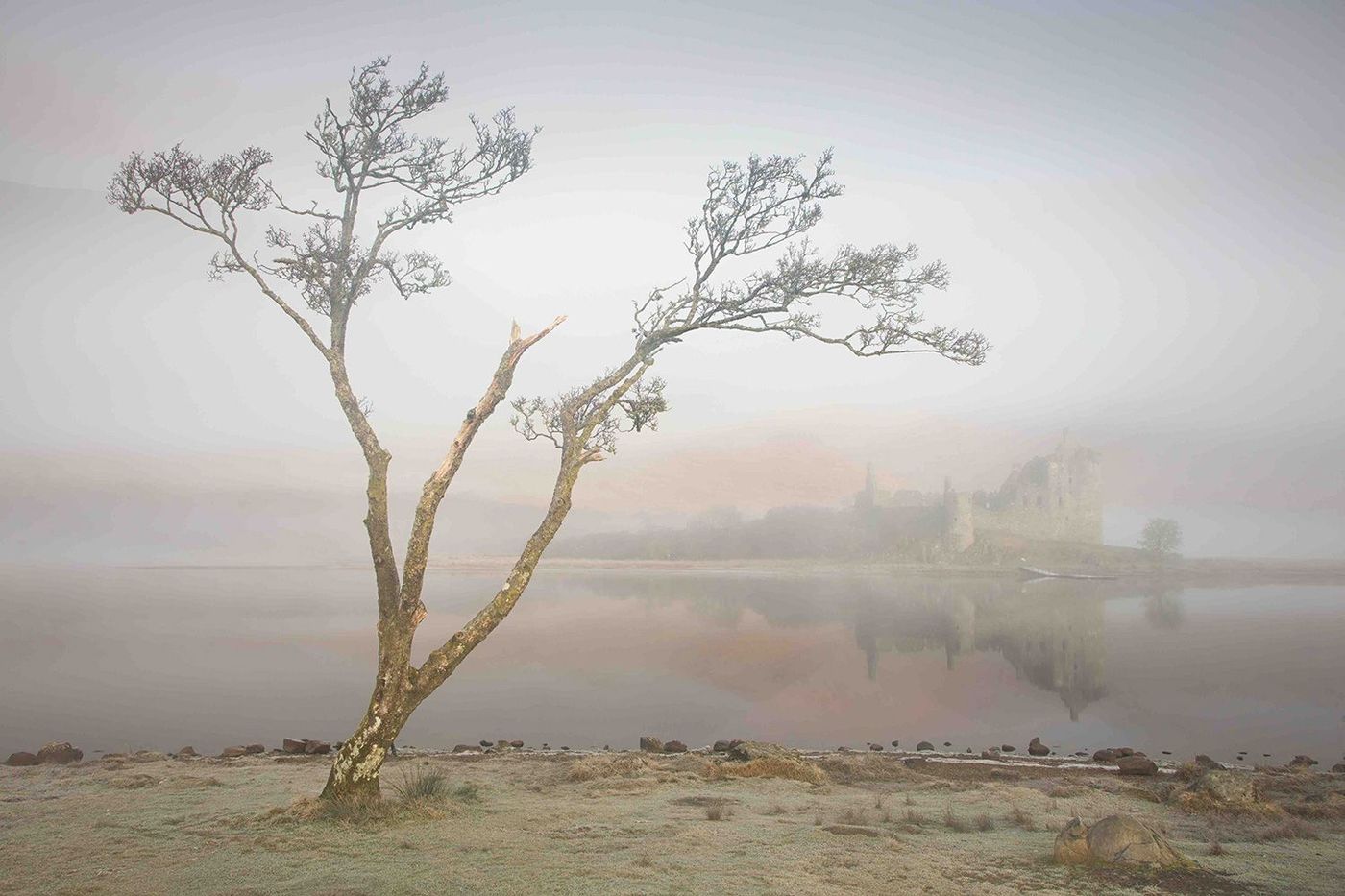 'Kilchurn and the Tree', Argyll and Bute