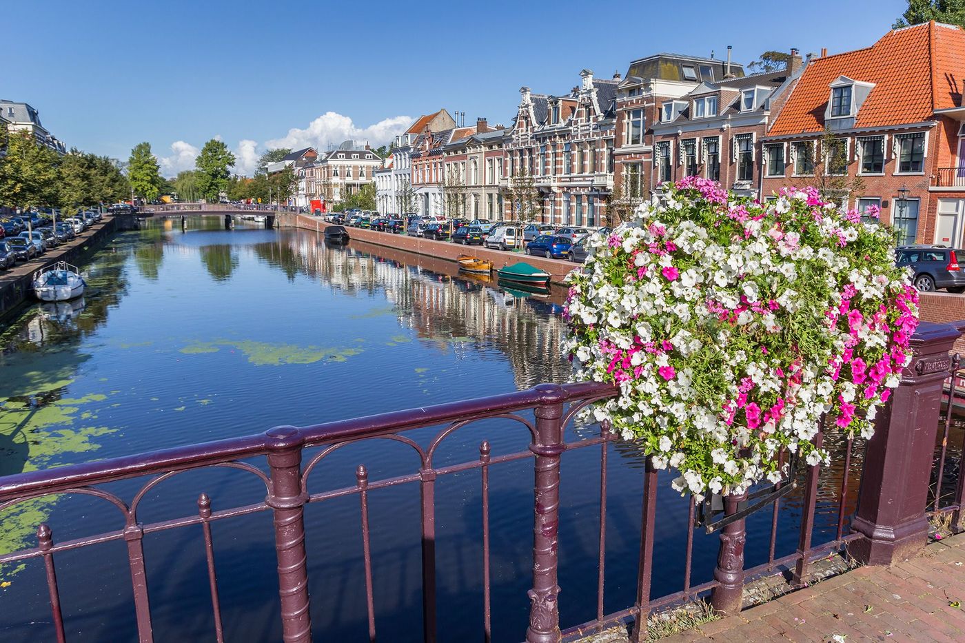 Pays-Bas Haarlem Centre historique