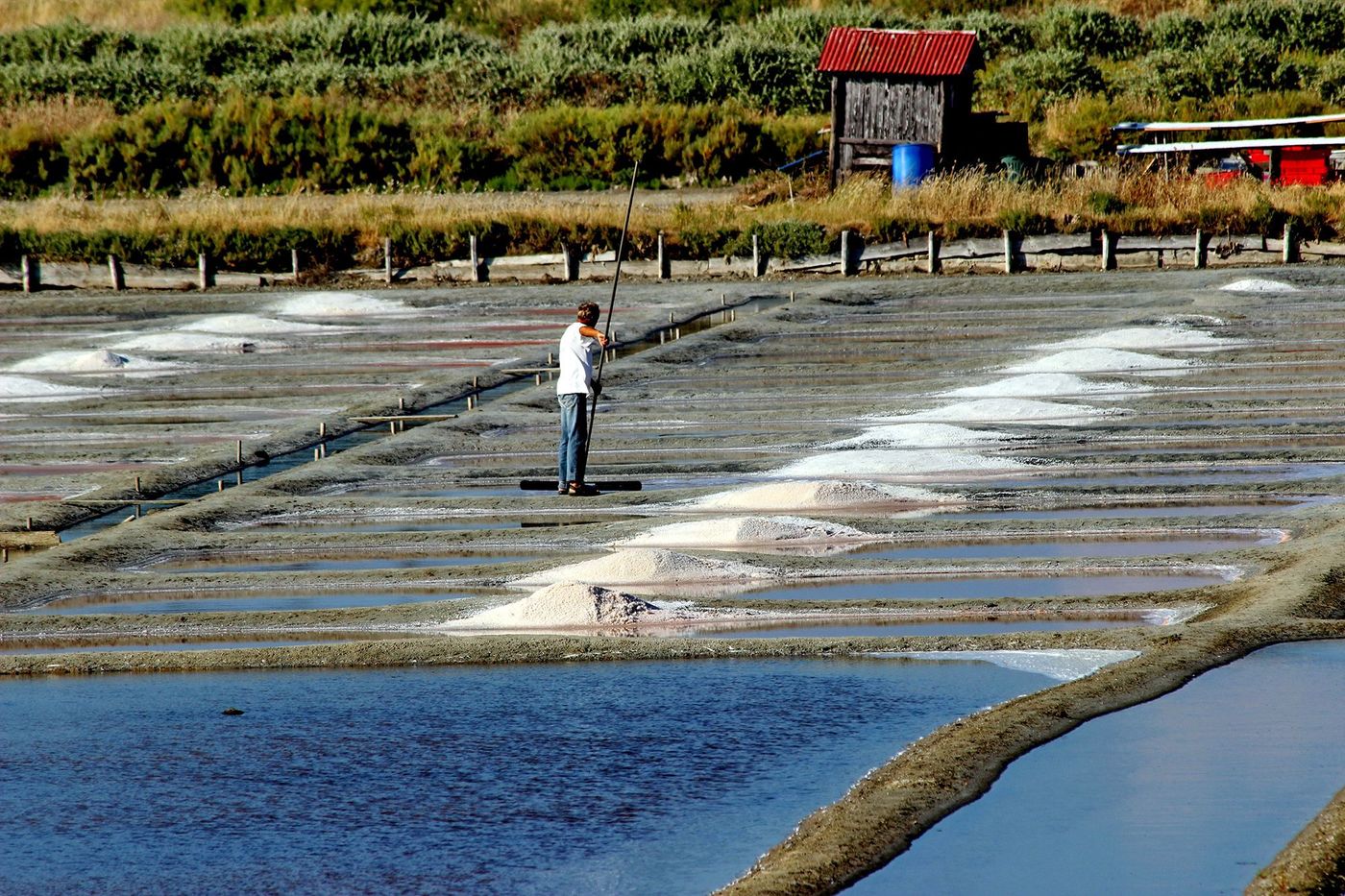Pays de la Loire Marais salants de Guérande