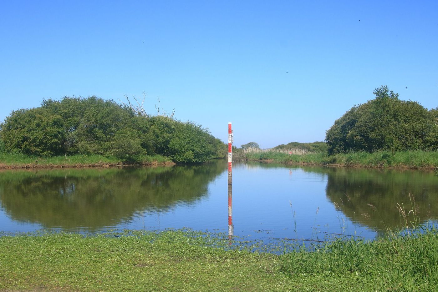 Pays de la Loire Lac de Grand Lieu