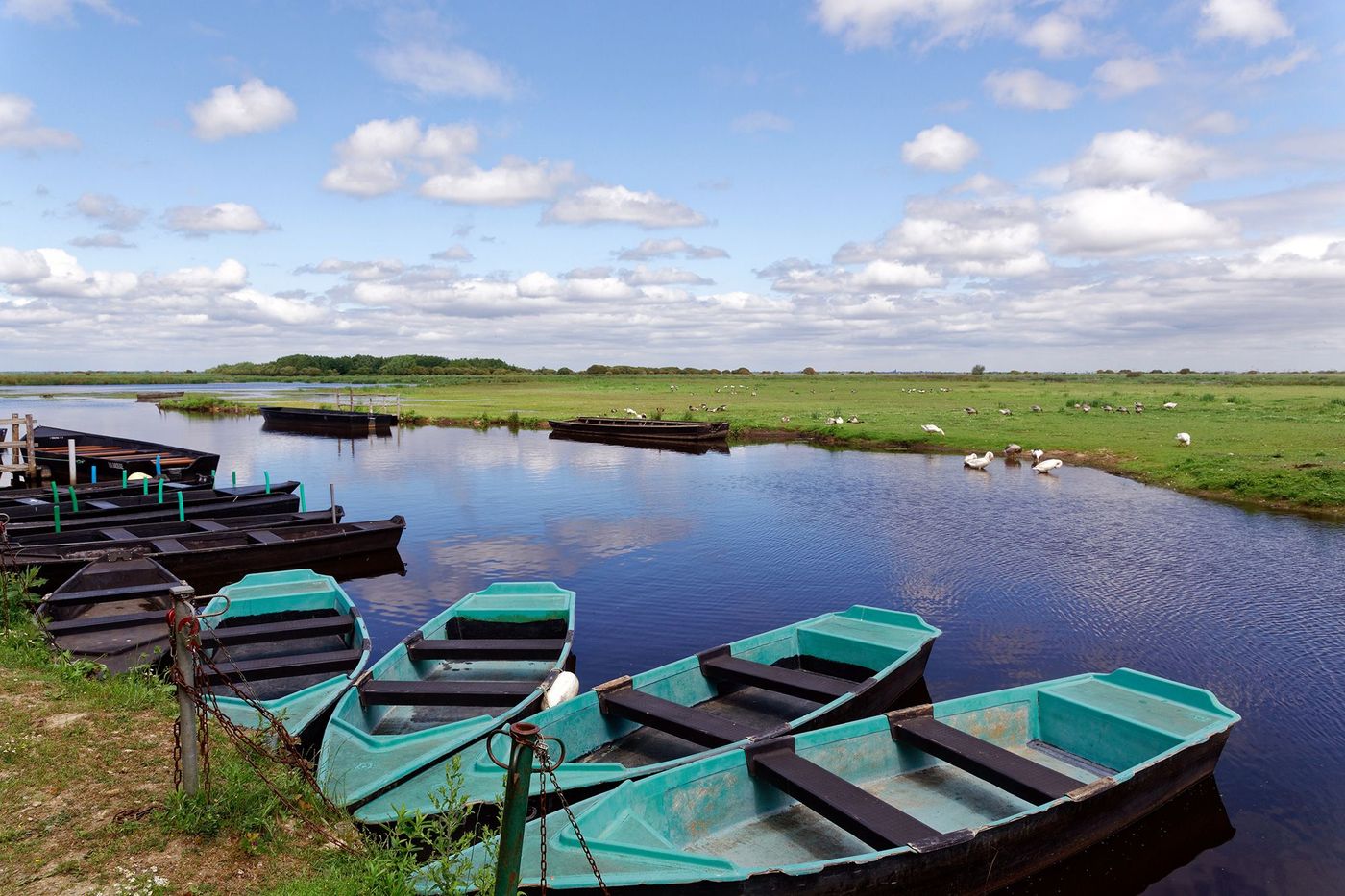 Pays de la Loire Parc de Brière