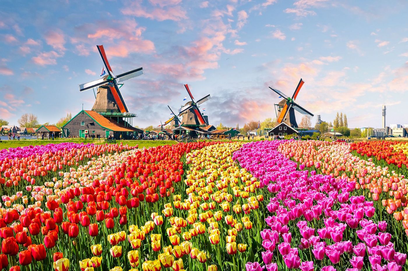 Pays-Bas au printemps