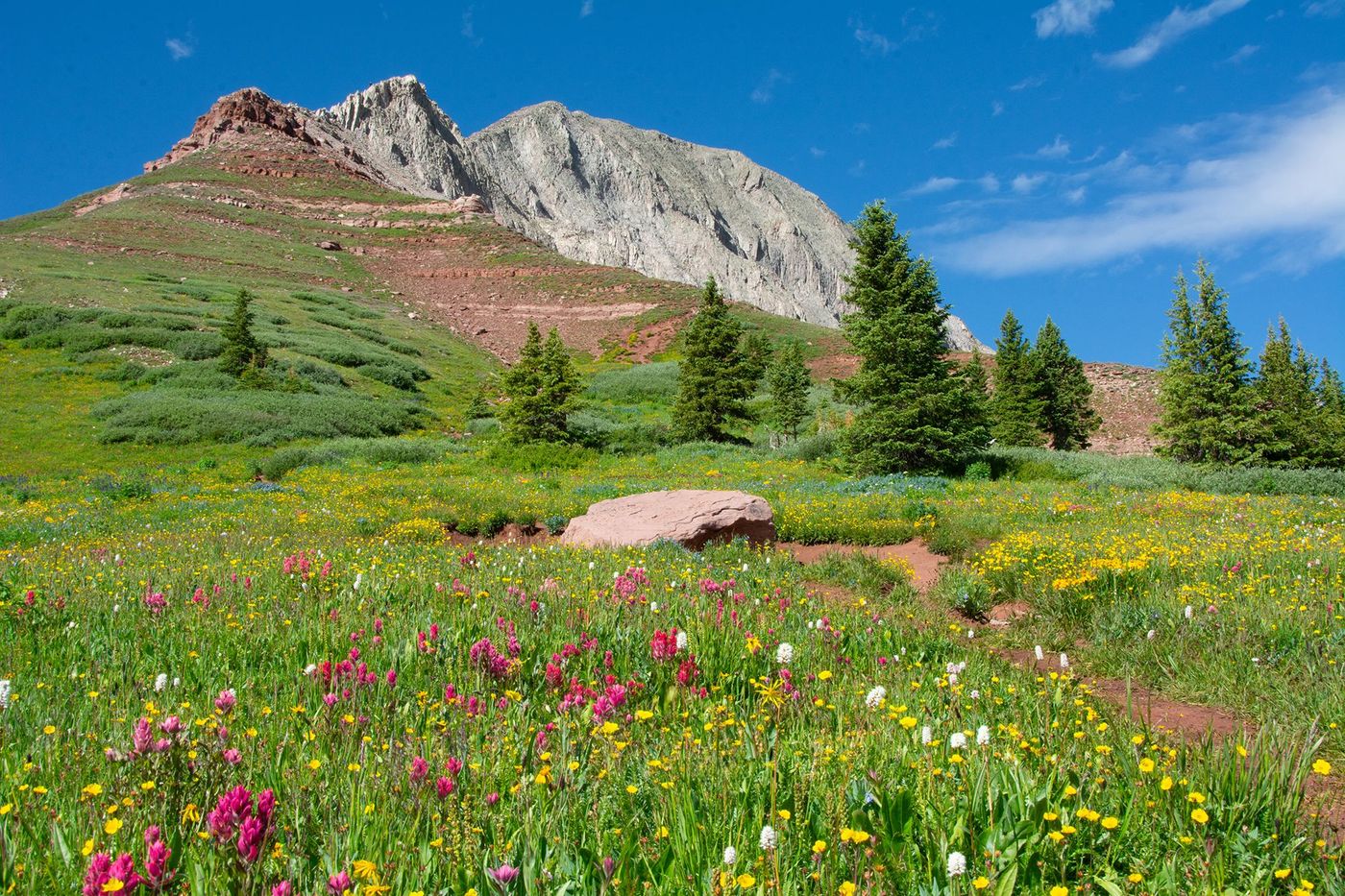 Paysage du Colorado Trail