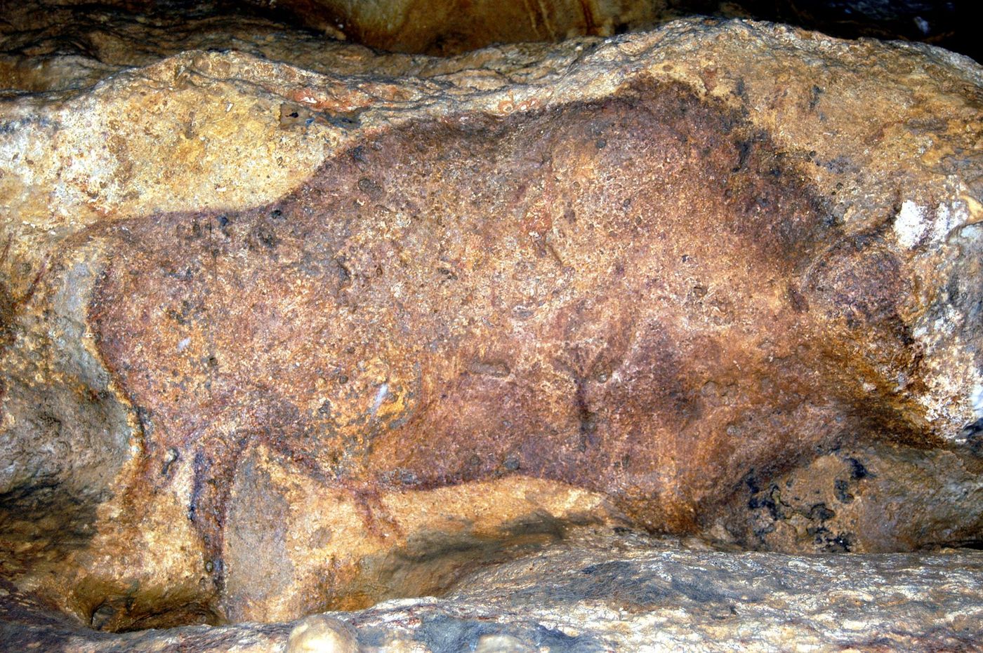 Peinture de la grotte de Font-de-Gaume