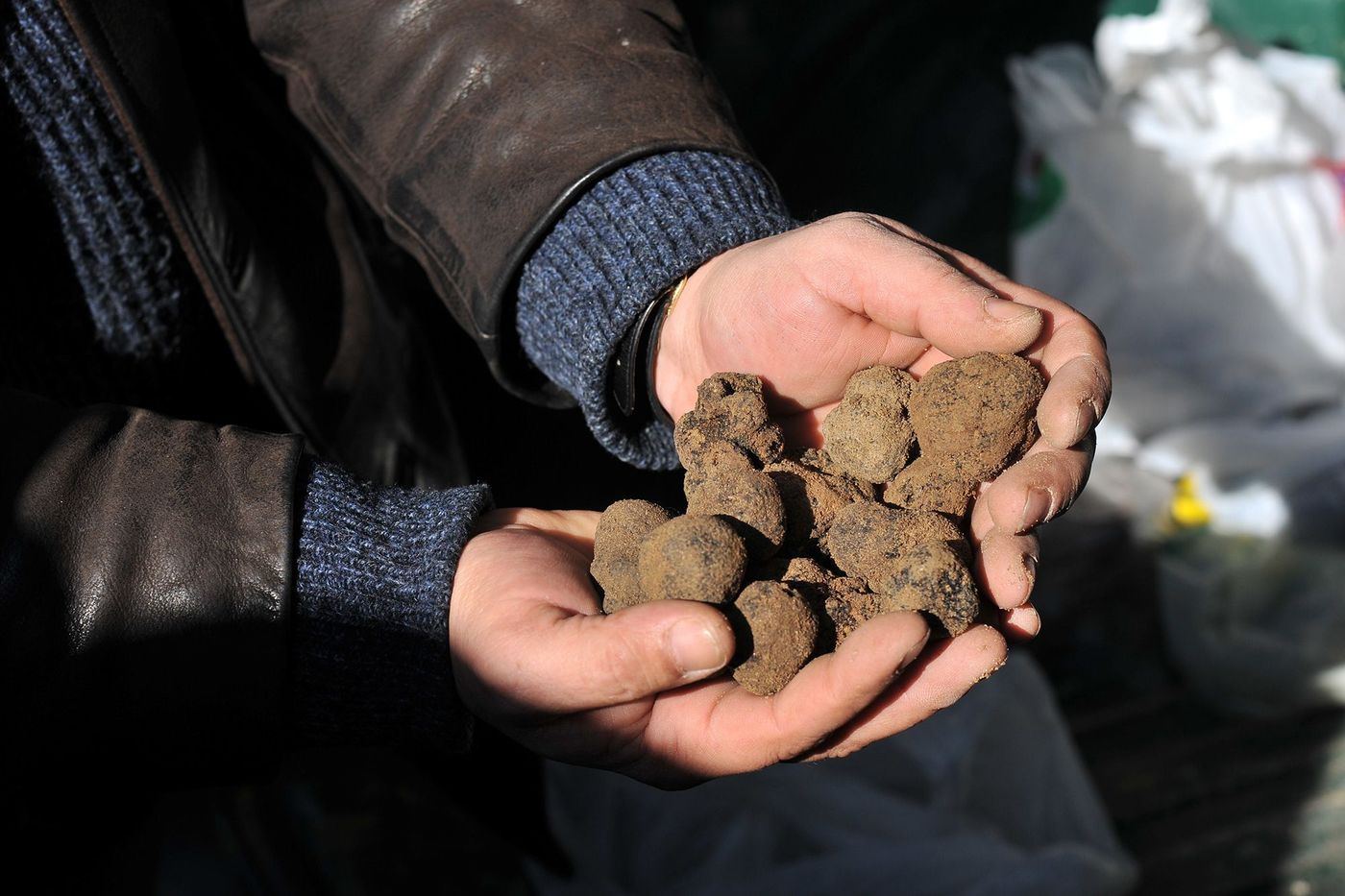 Truffes