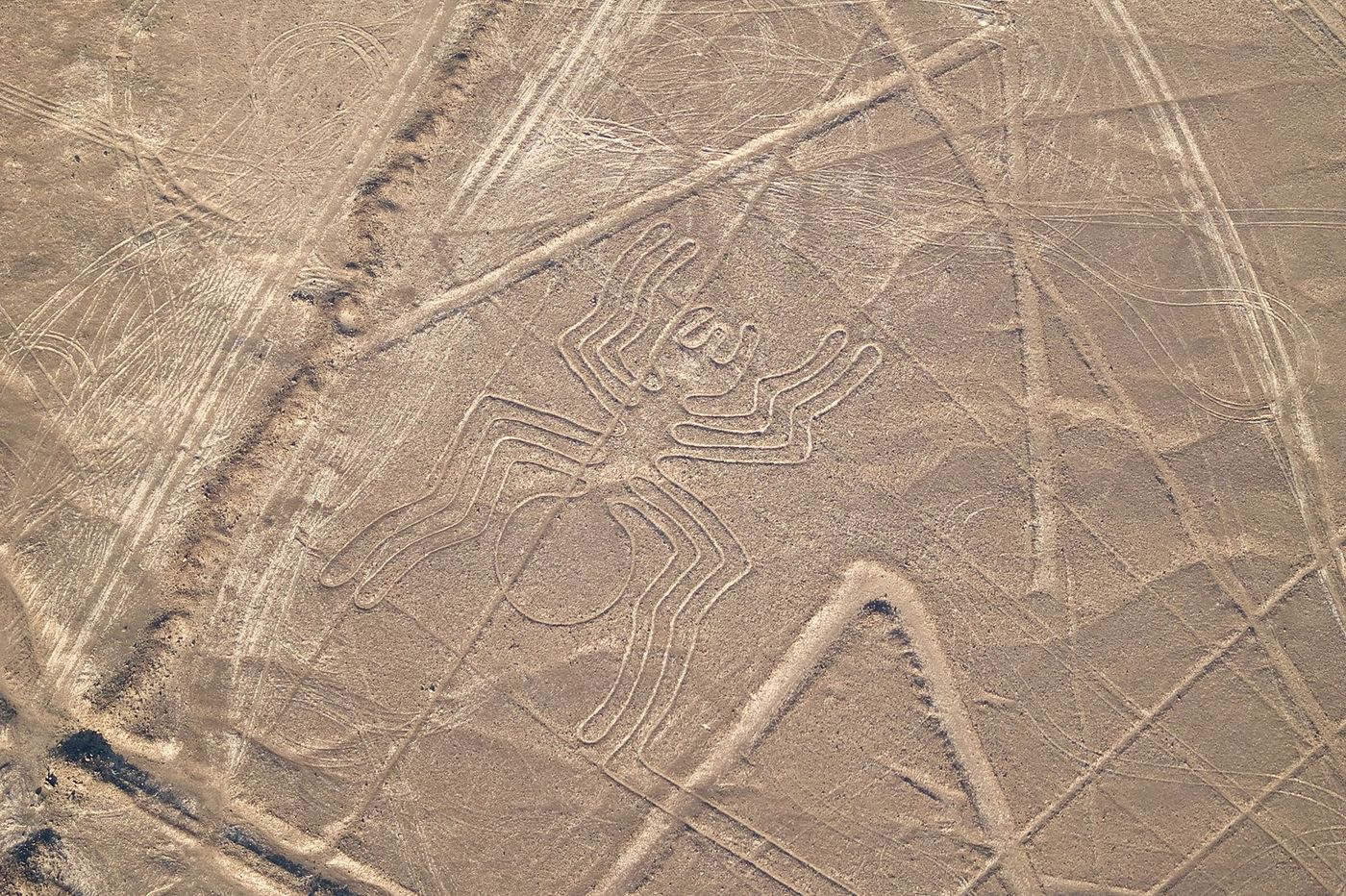 Pérou Lignes de Nazca