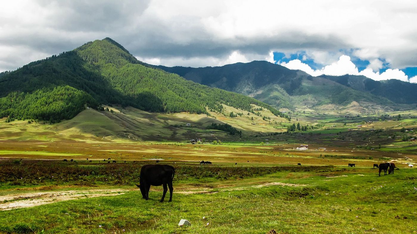 Bhoutan Vallée de Phobjikha