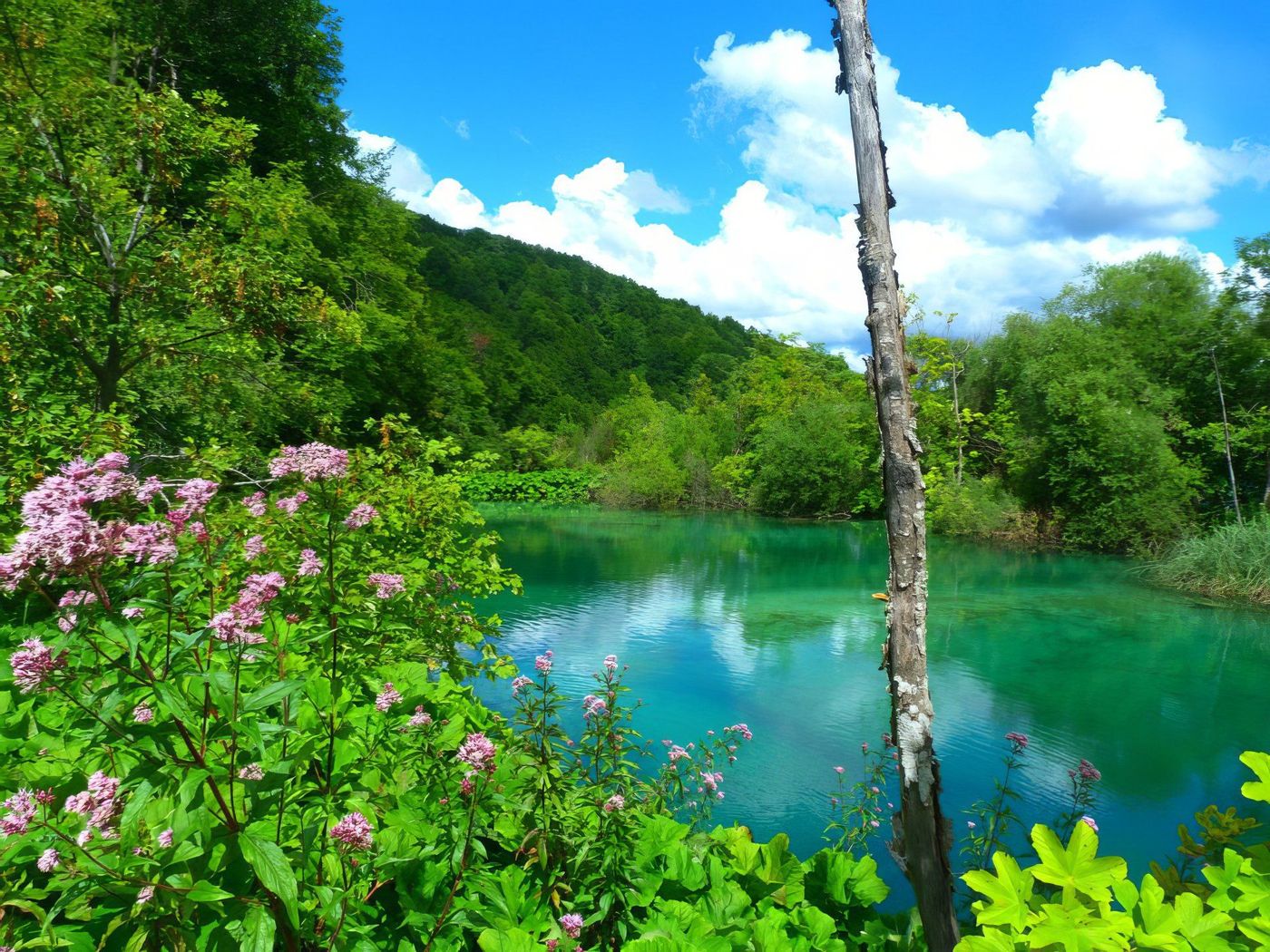 Lacs de Plitvice (Plitvička Jezera)