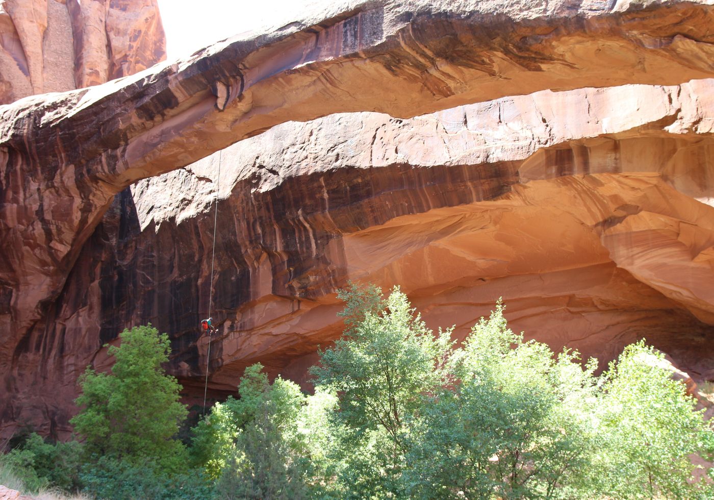"Morning Glory Arch"
