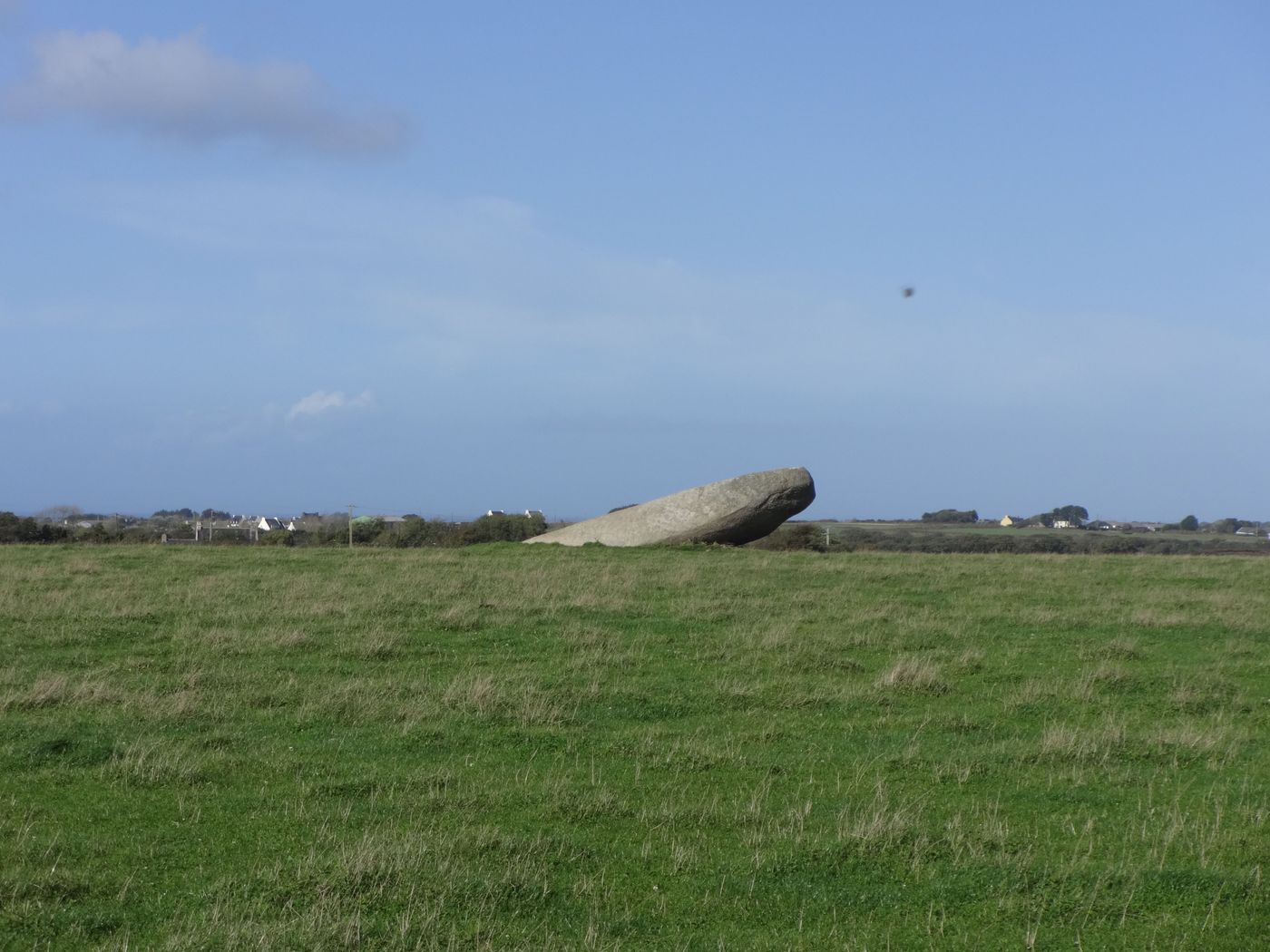 Menhir couché de Kergadiou