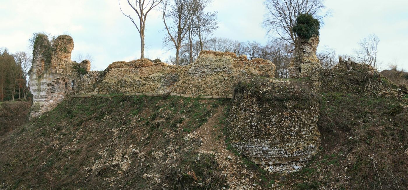 Château Médiéval de Montfort sur Risle