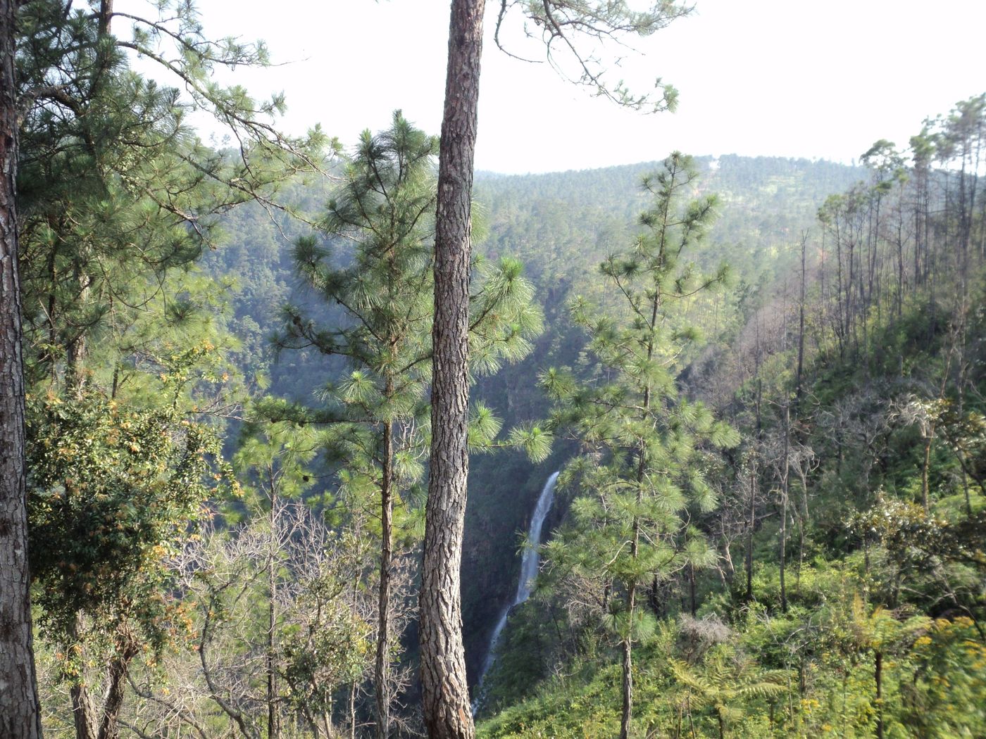 Cascade 1000 foot falls