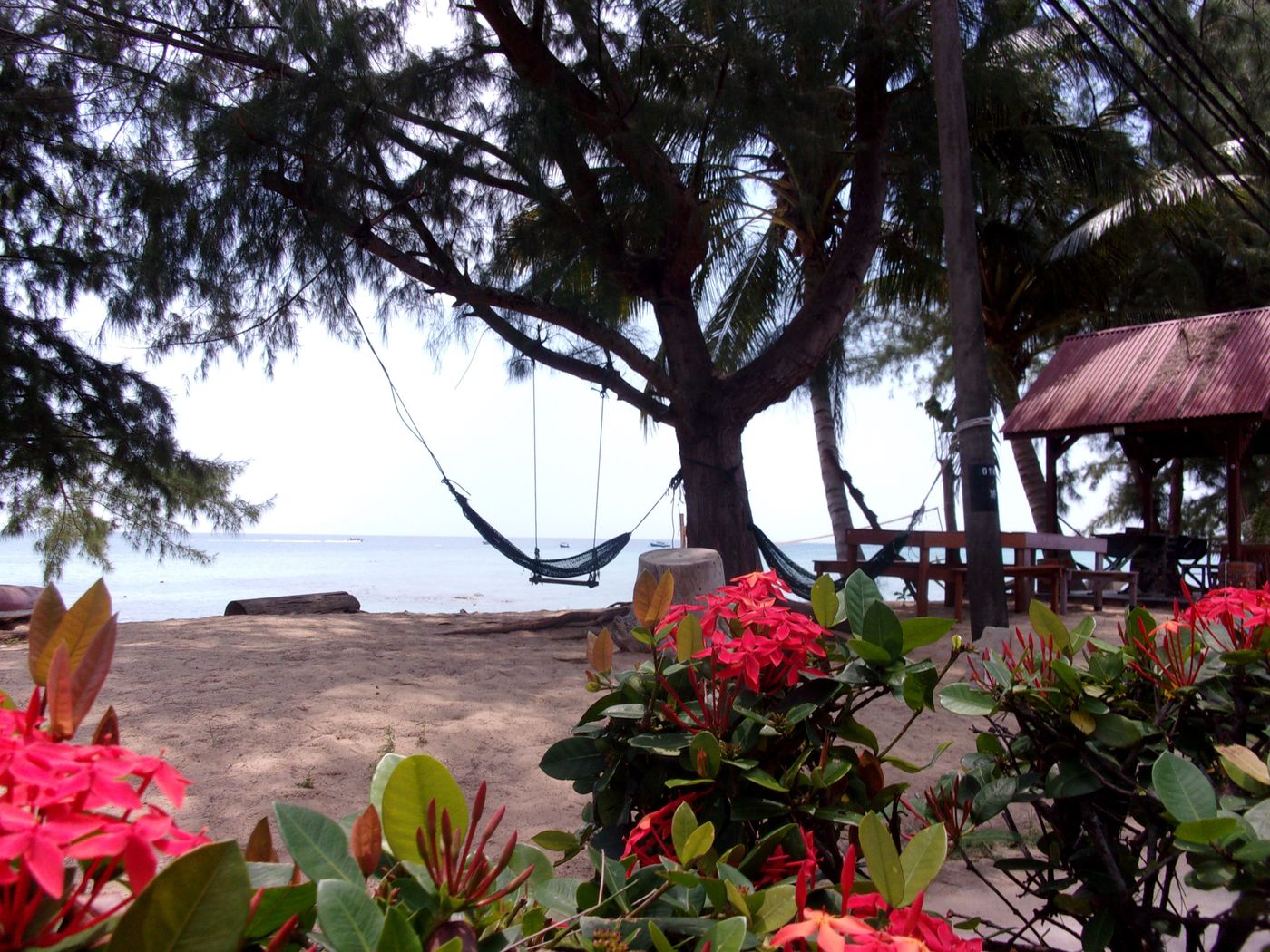 Paradis Terrestre - Tioman Island