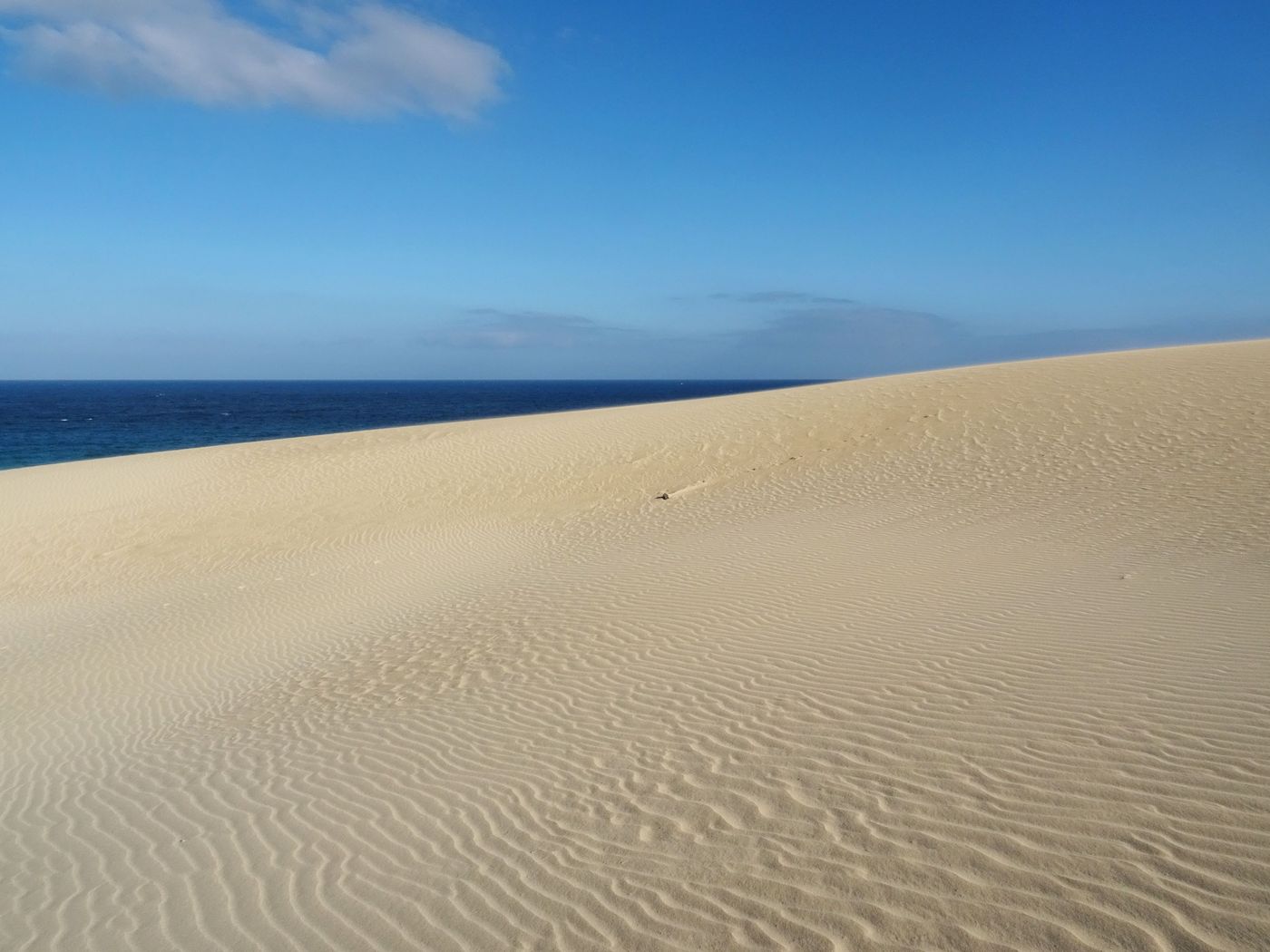 Parc naturel des dunes de Corralejo