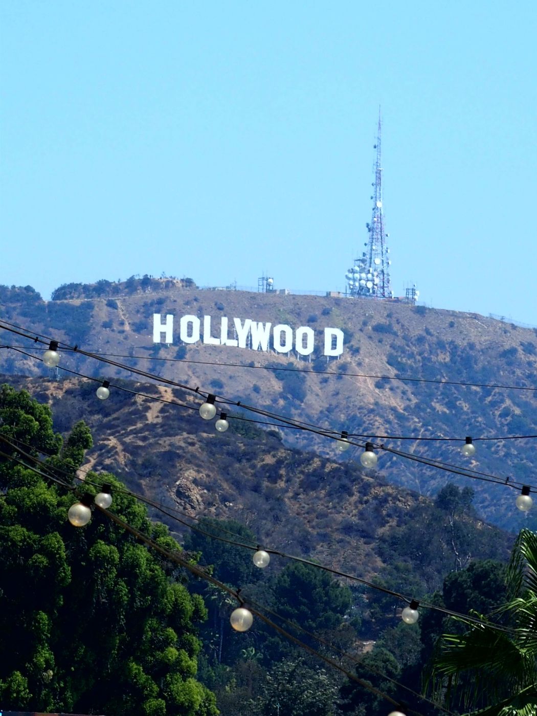 Hollywood