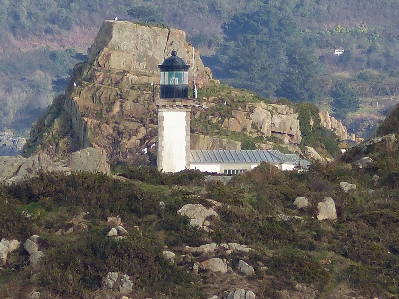 Le phare de l'île