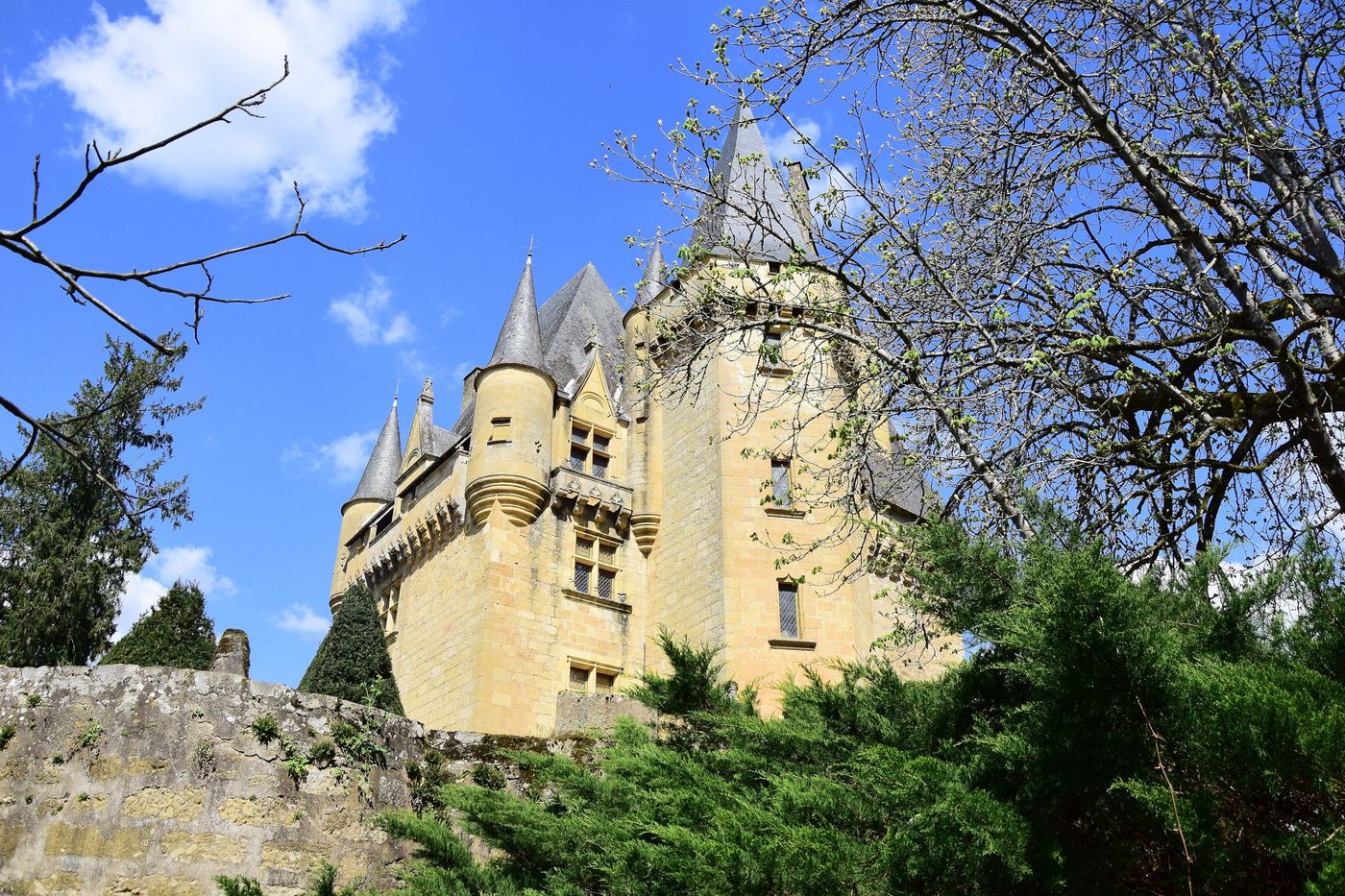 Le château de Saint Léon-sur -Vézère