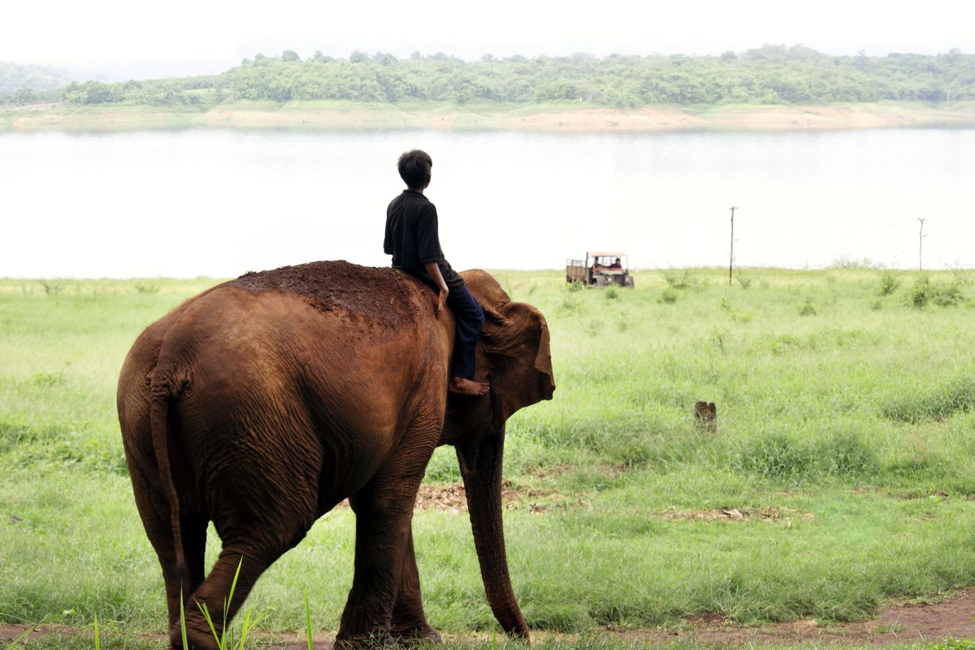 Walking with an elephant
