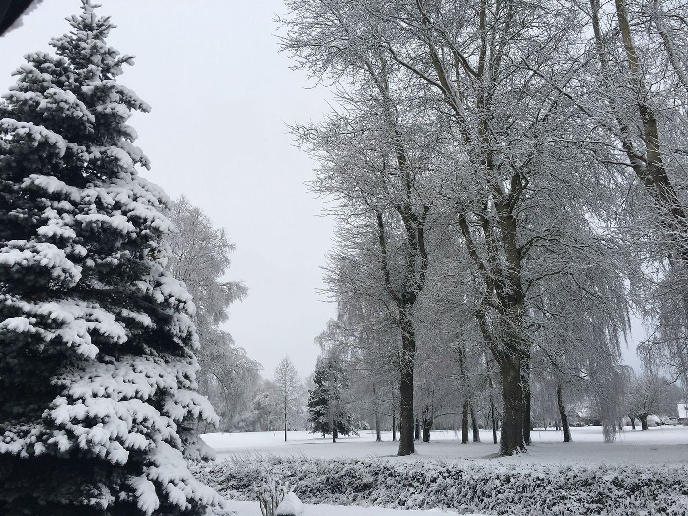 Golf de Bondues sous la neige