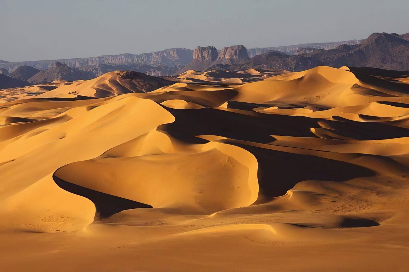 Les désert algérien
